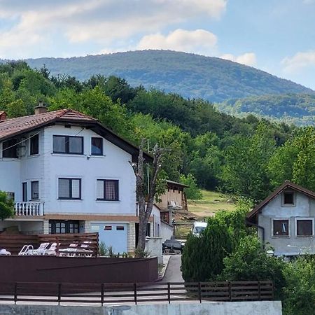 Vila Lisina Seliste Dreznicko Exteriér fotografie