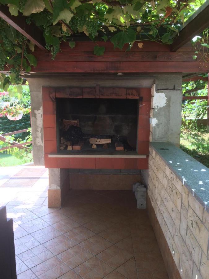 Vila Lisina Seliste Dreznicko Exteriér fotografie